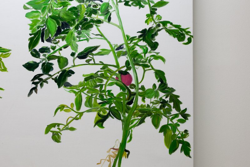 Alex Fischer, Vii 陈秋林 Chen Qiu Lin Detail, 2015-02-26